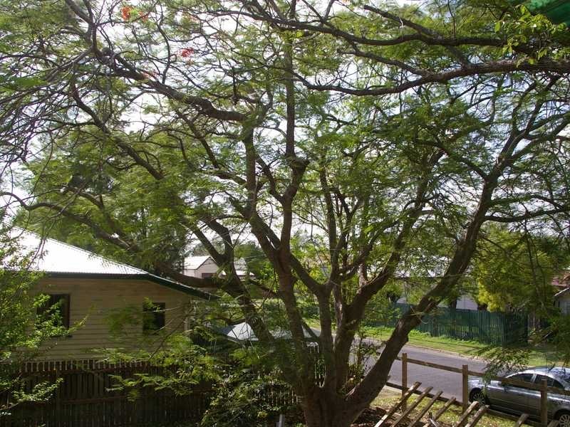 43 Blackall Street, East Ipswich QLD 4305